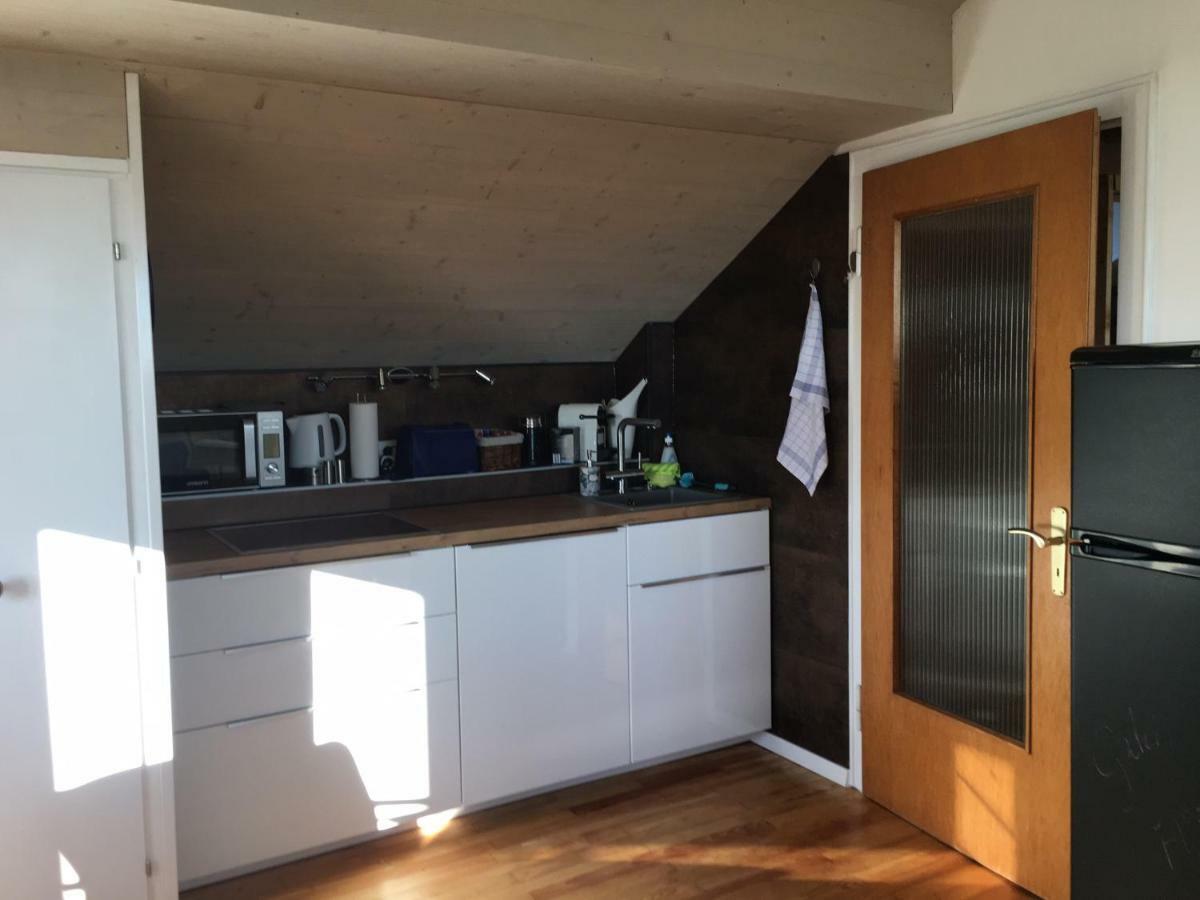 Alpenpanorama Am Hochrhein Villa Gailingen Eksteriør billede
