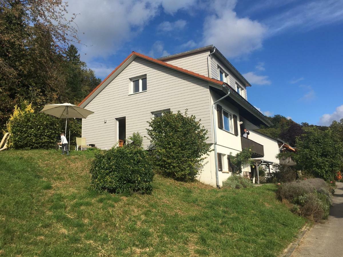 Alpenpanorama Am Hochrhein Villa Gailingen Eksteriør billede