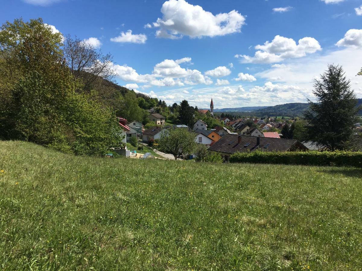 Alpenpanorama Am Hochrhein Villa Gailingen Eksteriør billede
