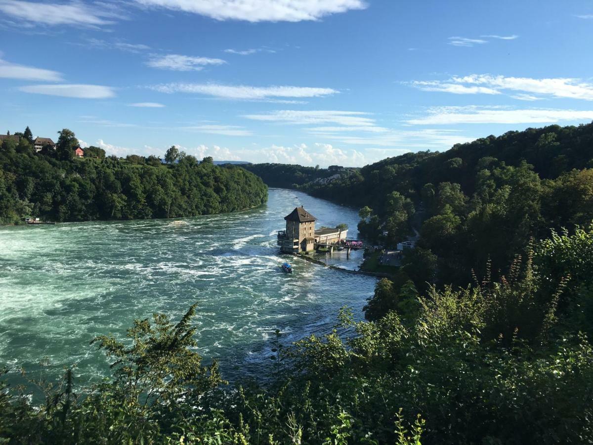 Alpenpanorama Am Hochrhein Villa Gailingen Eksteriør billede